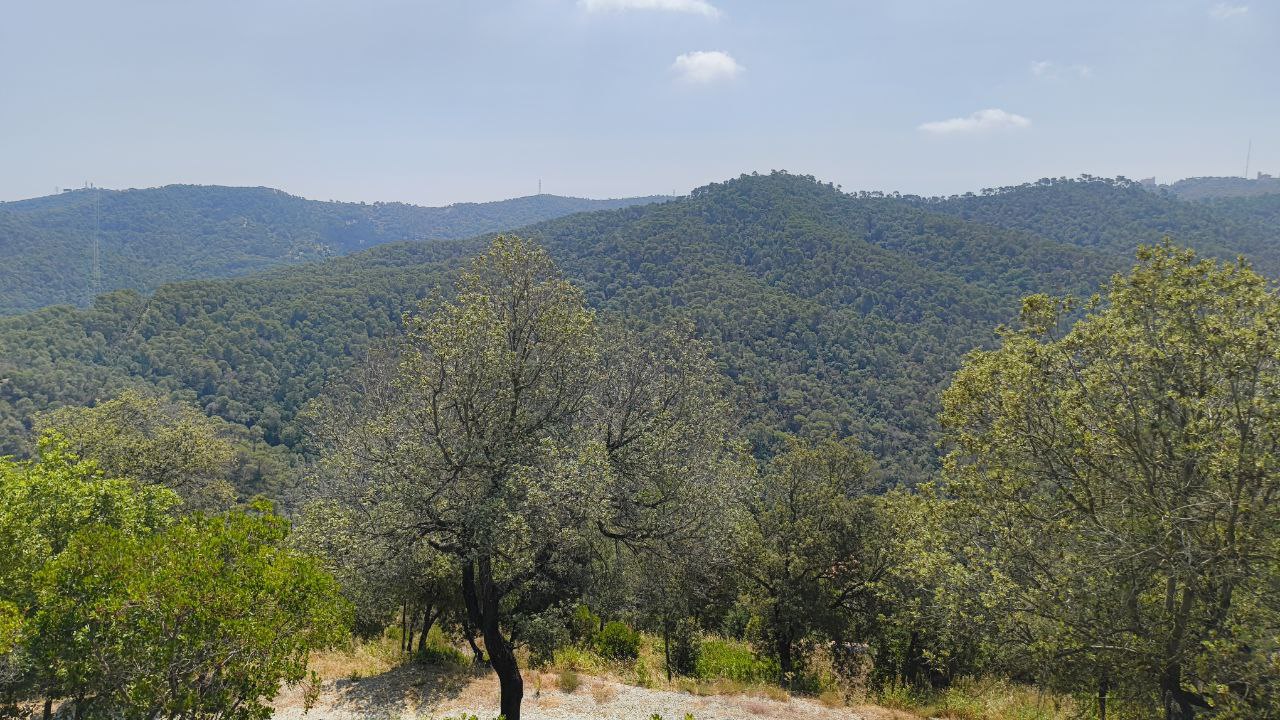 Sant Cugat, en perill alt d'incendi
