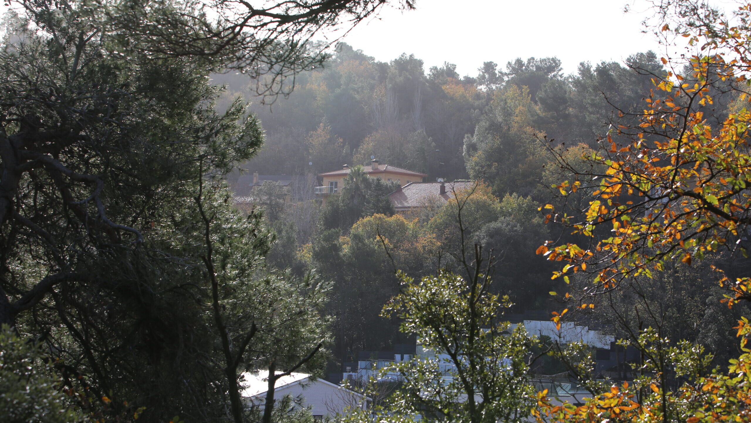 Confinar-se abans que fugir: com actuar en cas d'incendi forestal a Collserola