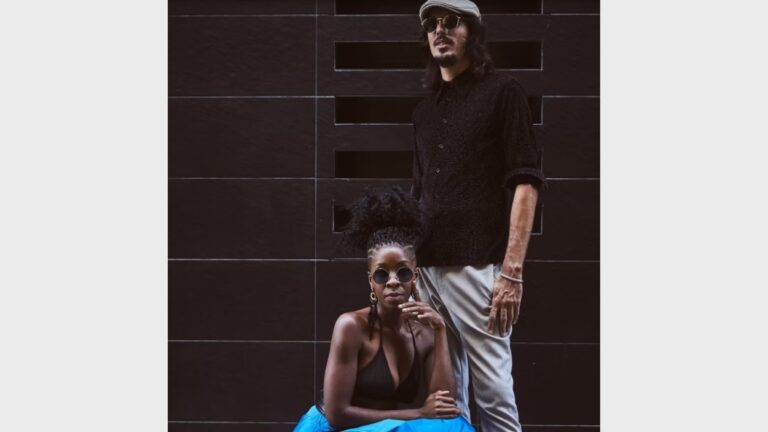 Concert: The Secret Investment Feat Lessus - Imatge destacada