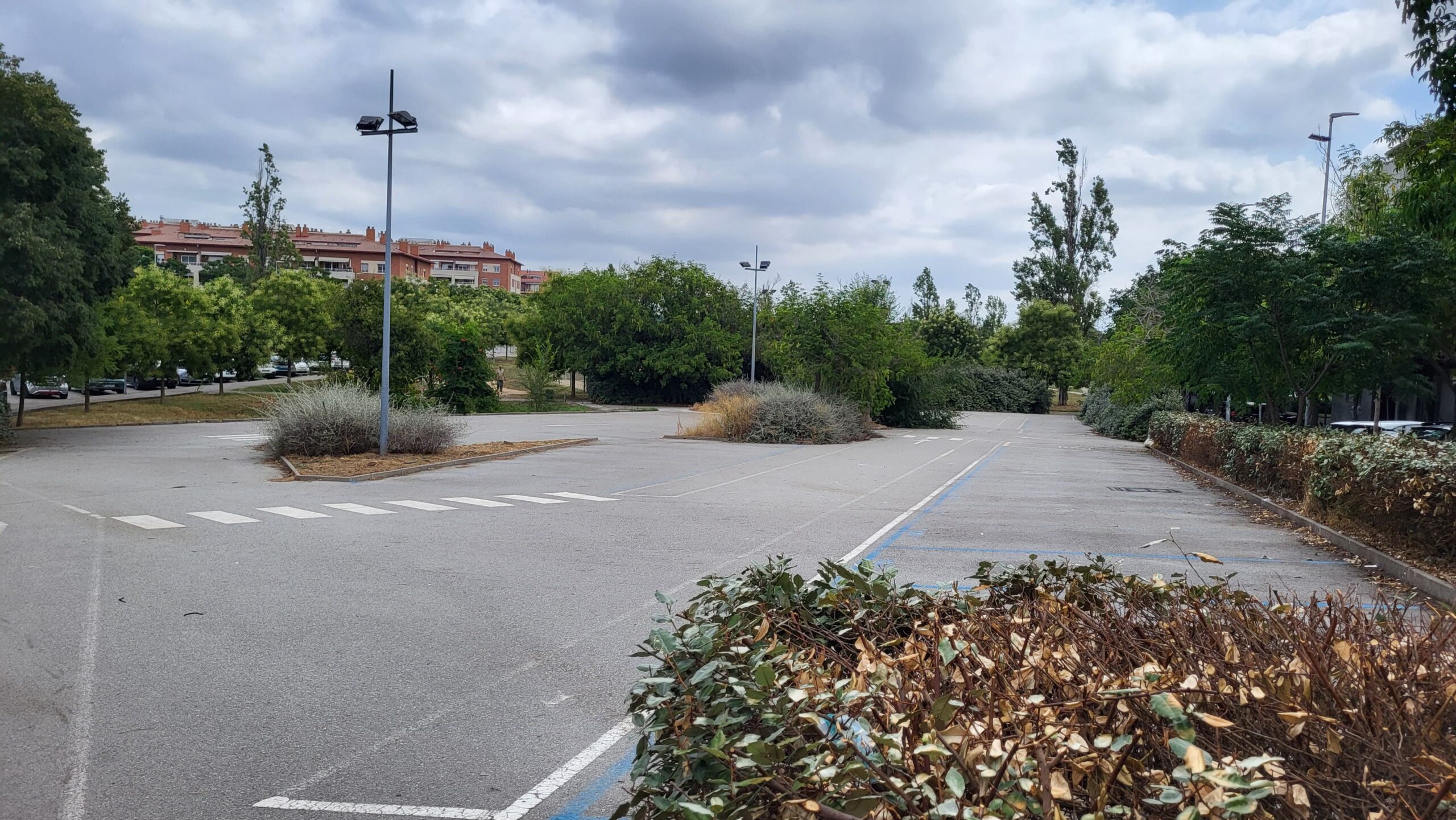 En marxa un control de plagues per eliminar les rates de Sant Cugat