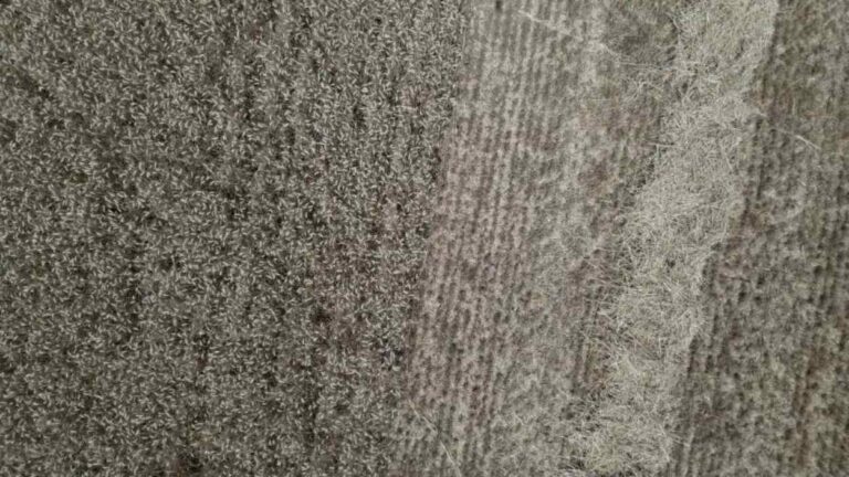 Exposició: 'Agrilogística Fitness', de Joana Capella Buendia - Imatge destacada