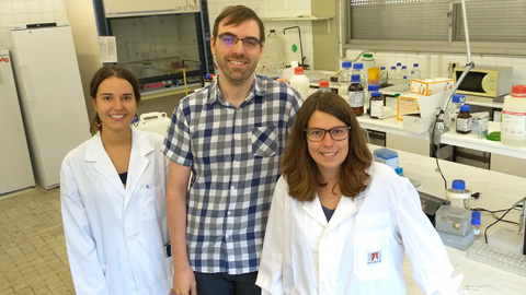 Identifiquen una nova font d’antibiòtics naturals amagats dins de les nostres pròpies proteïnes