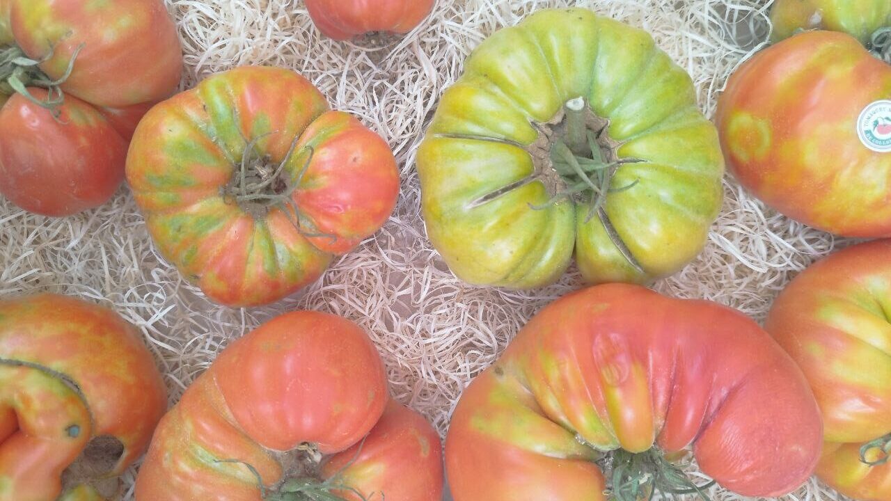 Tasta Mandó 2025: una oportunitat per degustar els productes de Collserola