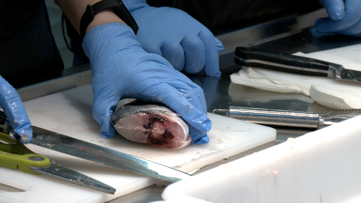 El Mercat de Torreblanca acull un curs d'auxiliars de mercat