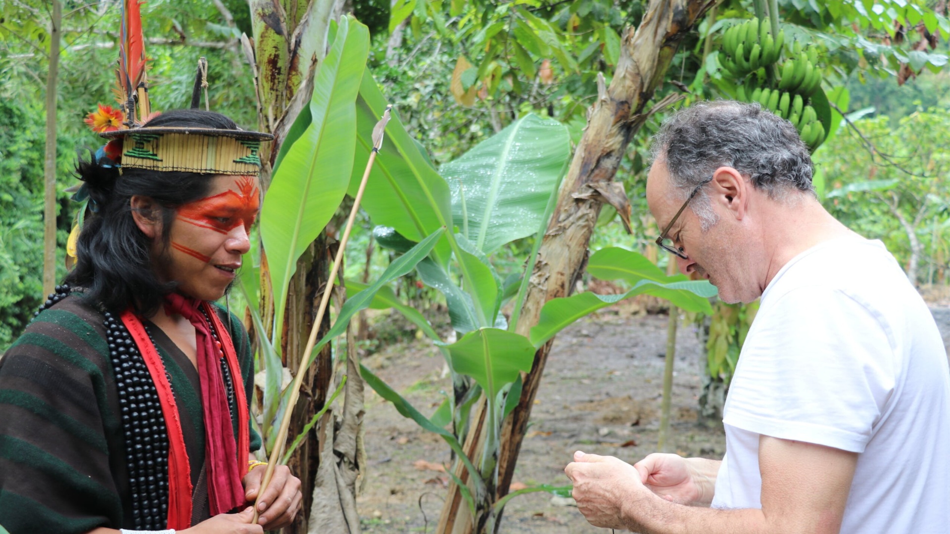 Espirulina per combatre l'anèmia, el projecte d'un santcugatenc al Perú