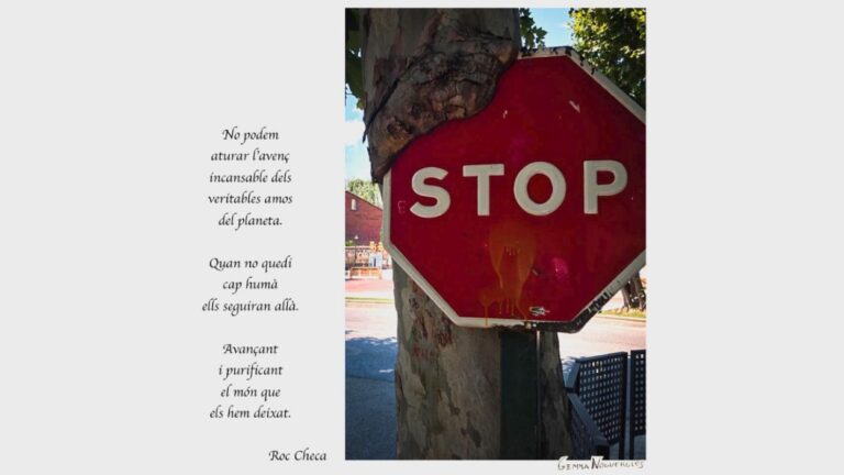 Exposició de Qgat Foto: 'Reaccions', de Gemma Nogueroles - Imatge destacada