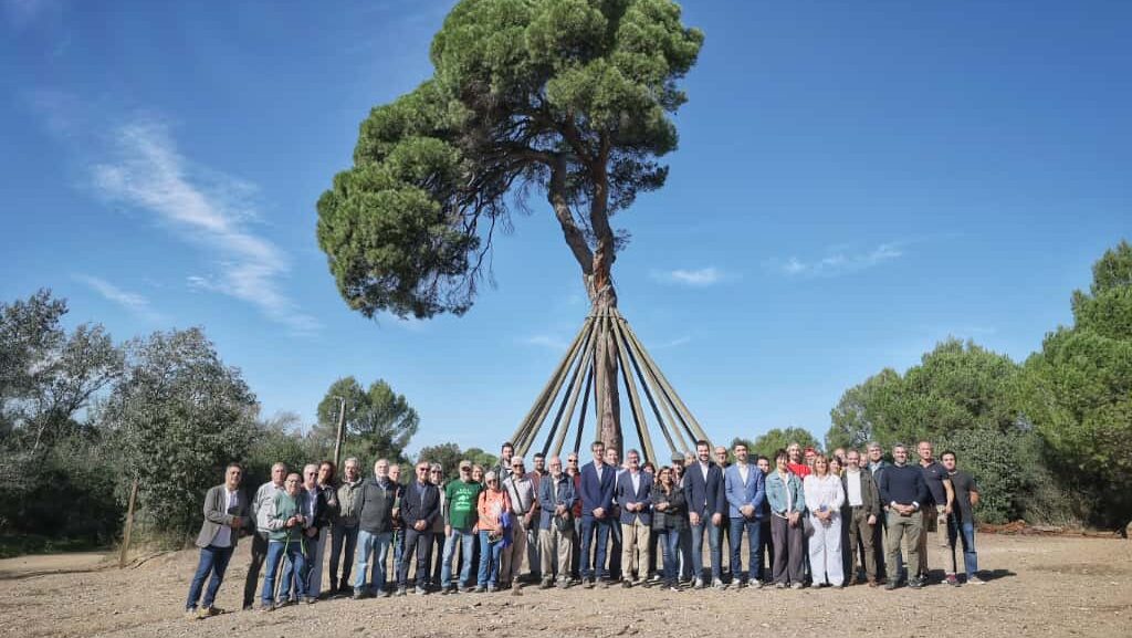 Sant Cugat corona el Pi d'en Xandri com a testimoni del passat, present i futur de la ciutat