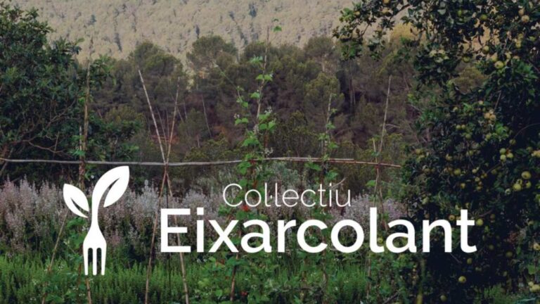 Cinefòrum amb el Col·lectiu Eixarcolant: 'L'Aurora: el començament del camí' - Imatge destacada