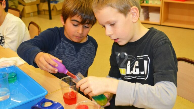 Taller familiar: 'Bojos per la química: gradients de densitat' - Imatge destacada