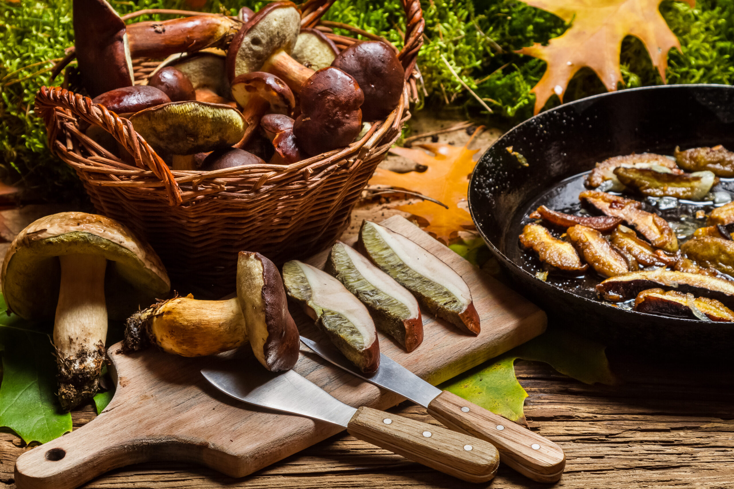 Els bolets, protagonistes de la cuina de tardor