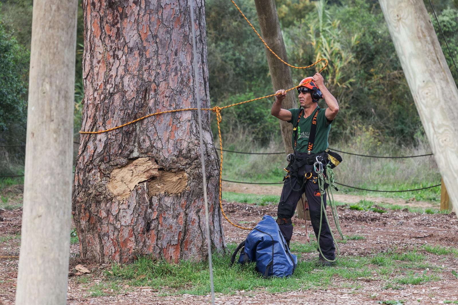 Nova actuació al Pi d’en Xandri per garantir-ne l’estabilitat