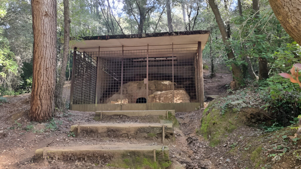 Alt: El forn ibèric, un testimoni del passat de Collserola