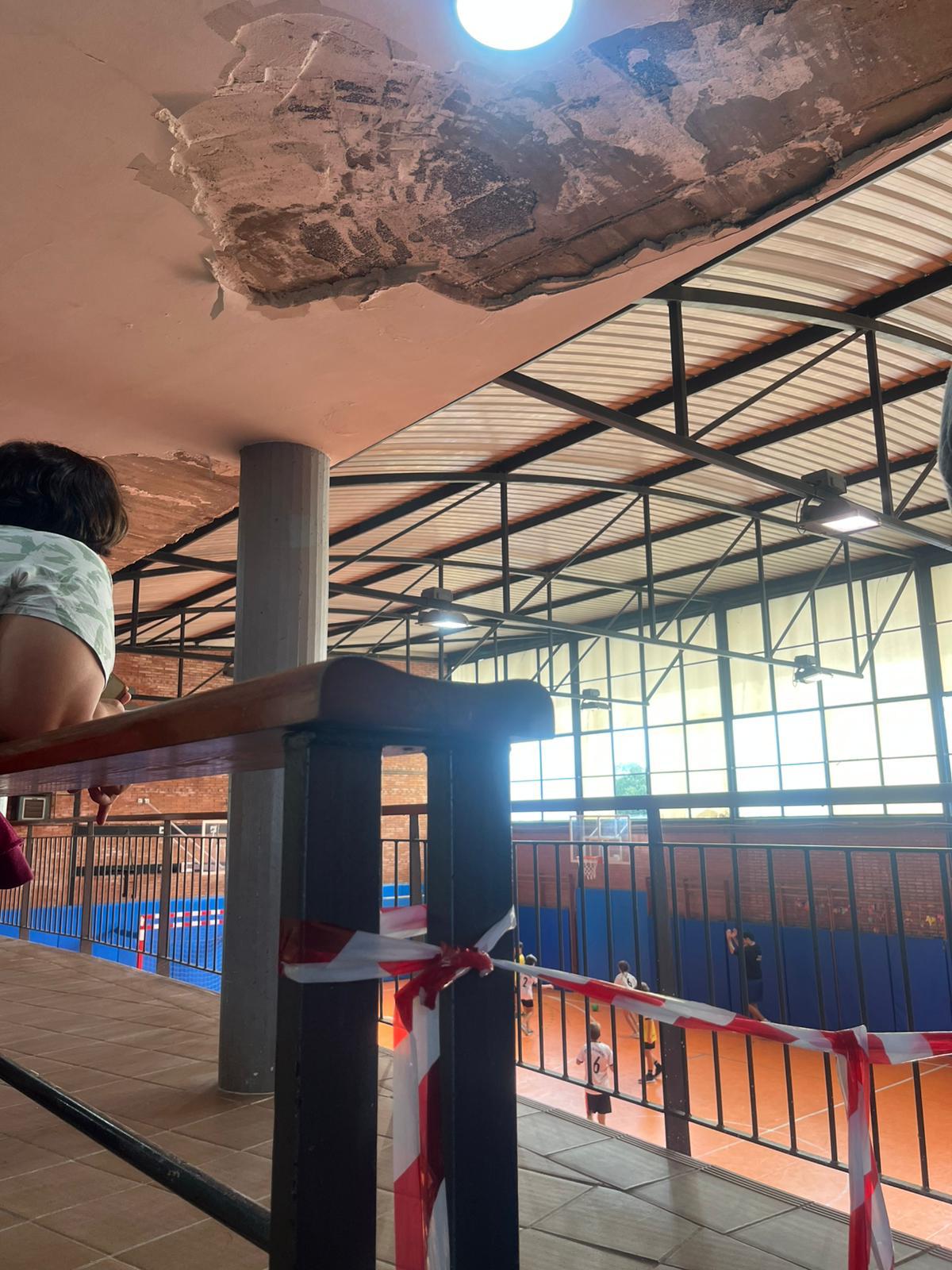 Imatge de la Gal·leria 8