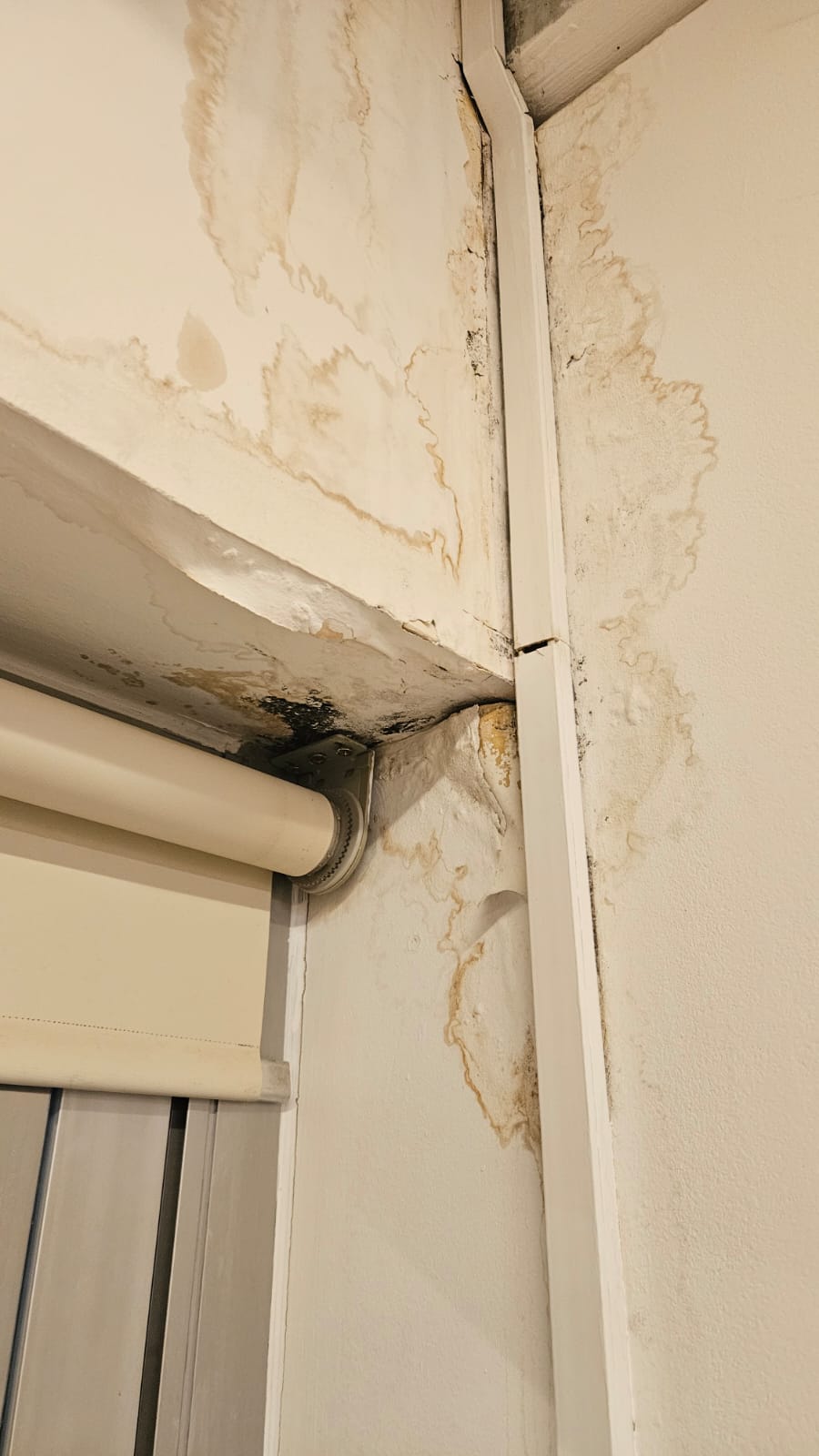 Imatge de la Gal·leria 3