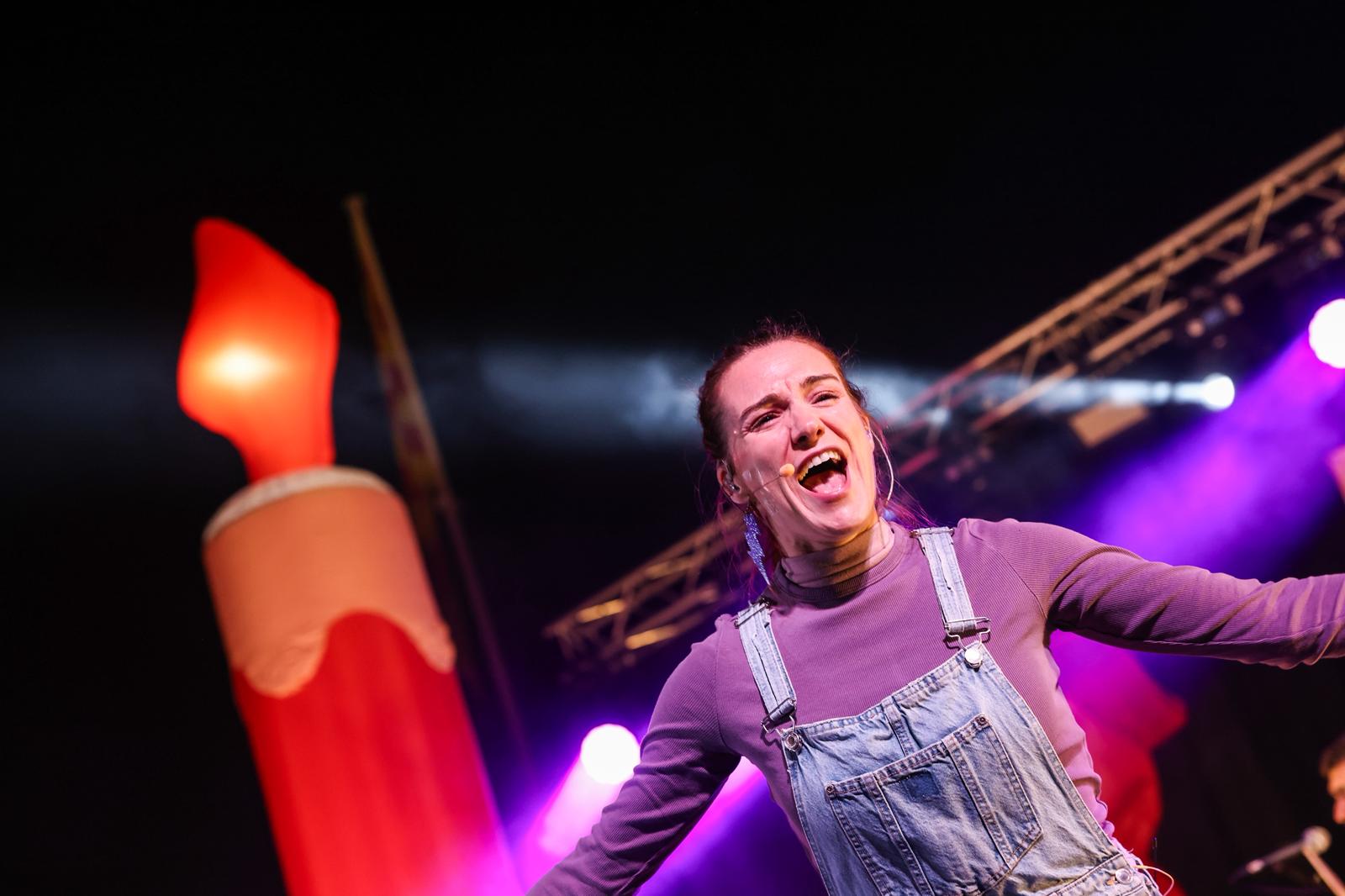 Imatge de la Gal·leria 13