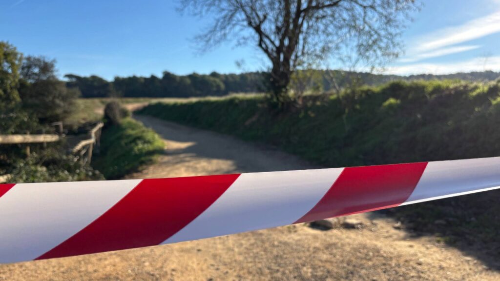 Alt: El relaxament de les restriccions per la pesta porcina encara no arriba a Collserola