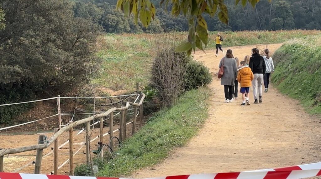 Alt: Els precintes per la pesta porcina no aturen el pas de persones per Collserola: el Govern anuncia sancions