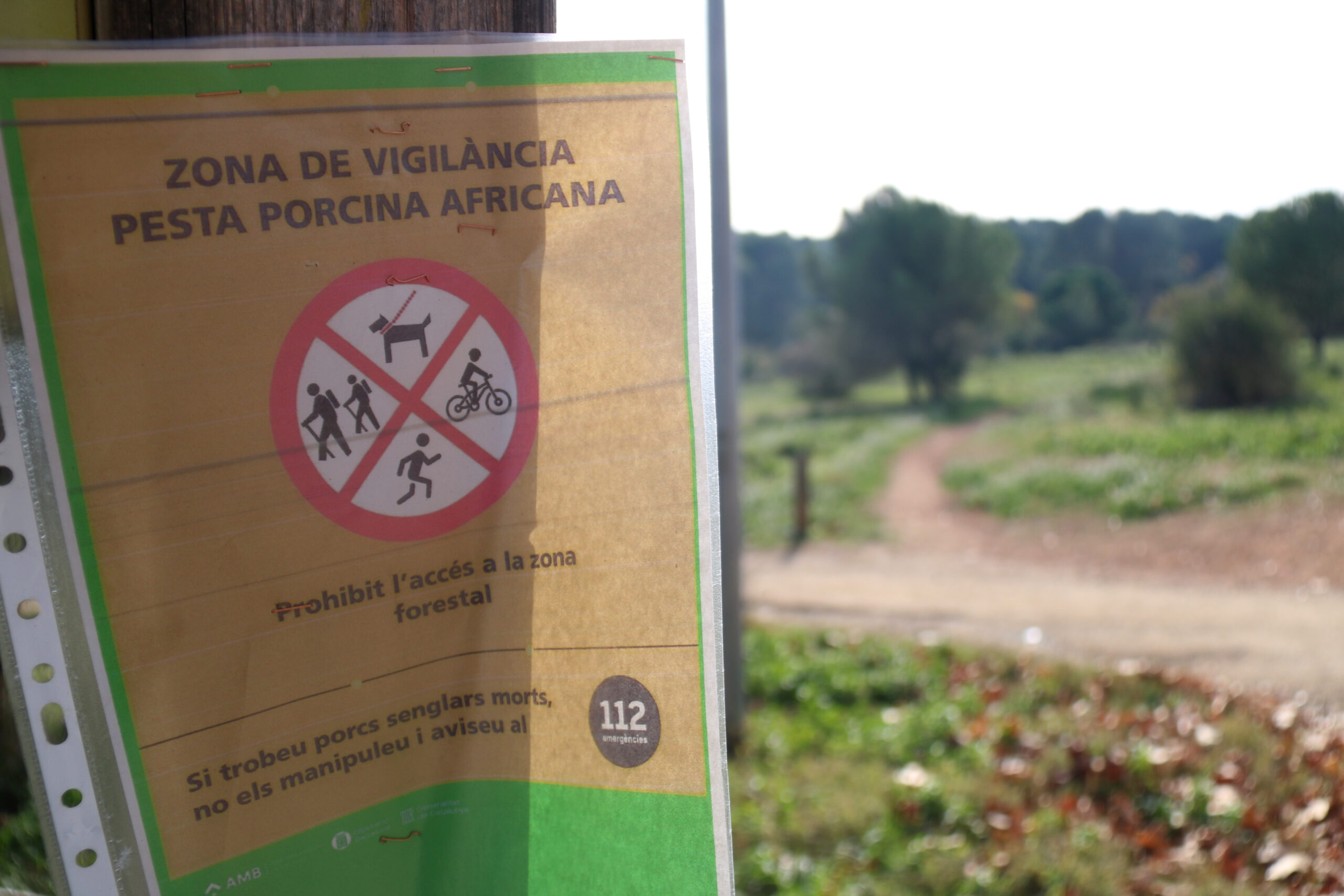 La Generalitat es planteja 