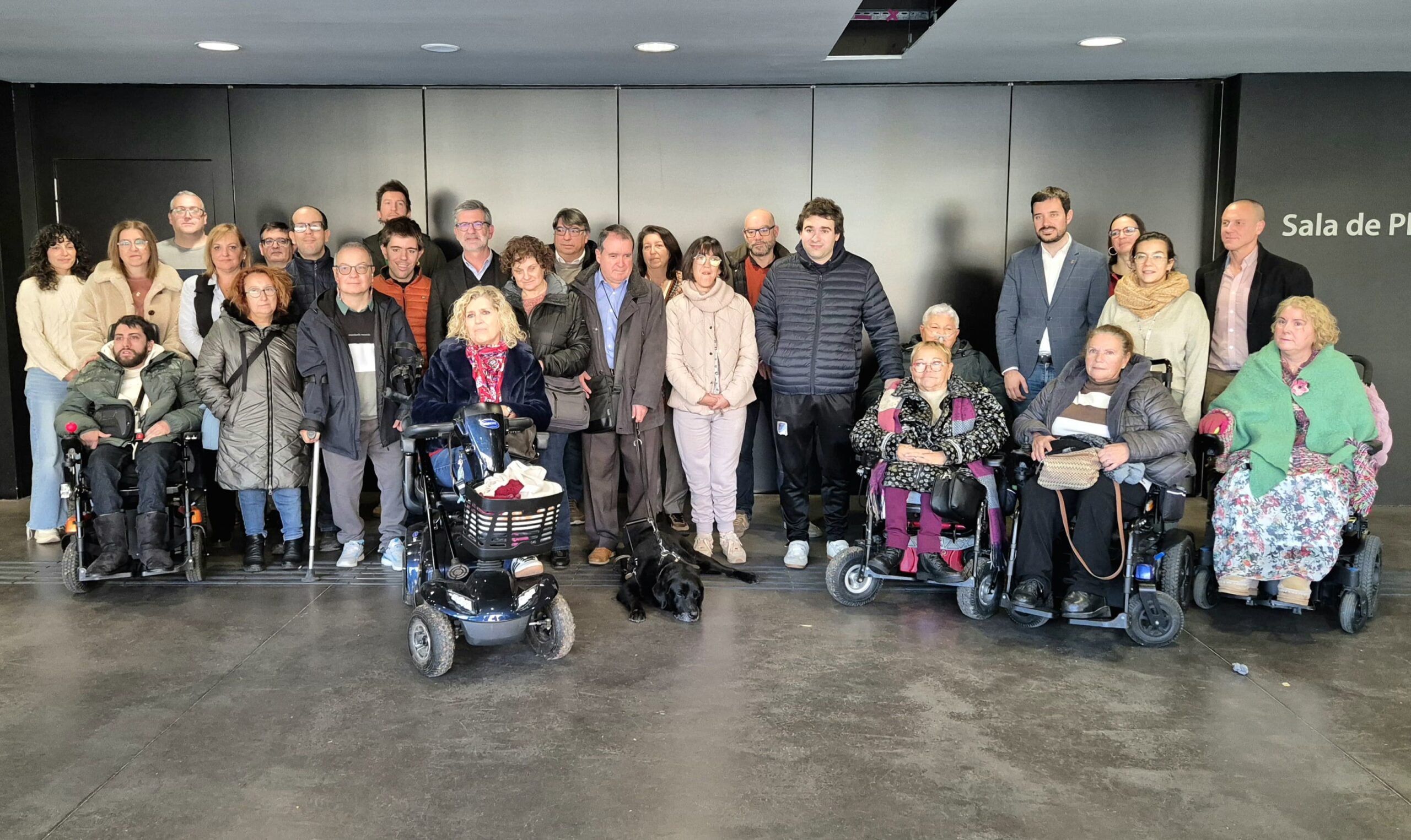 La Taula per a les Persones amb Discapacitat, als governs: 