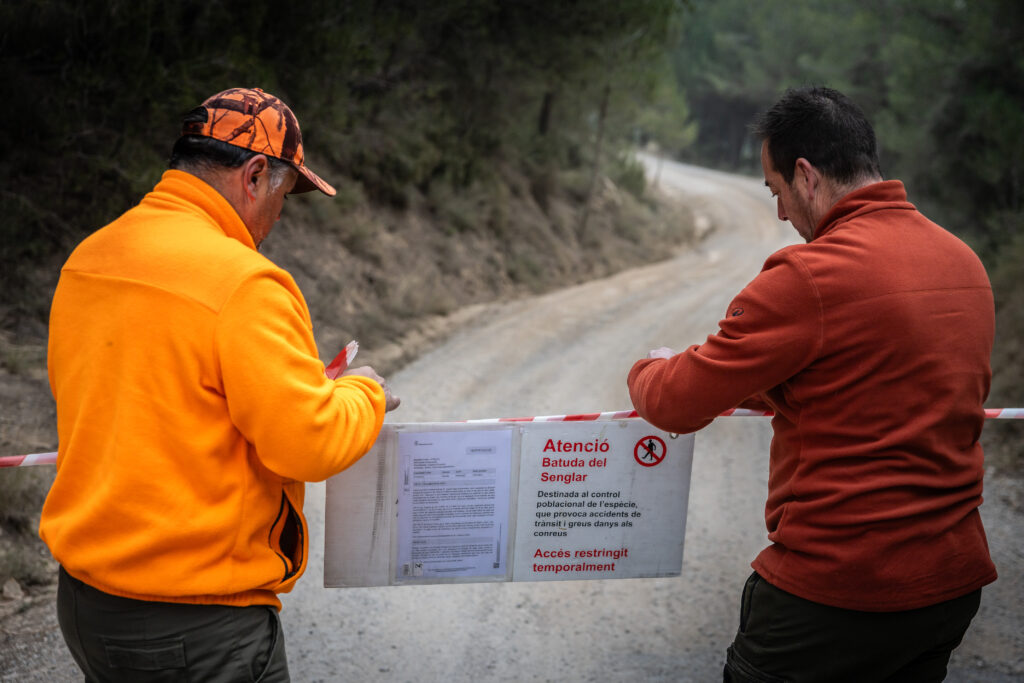 Alt: El Govern estén la prohibició d’accés al medi natural per la pesta porcina a 91 municipis fins al 14 de desembre