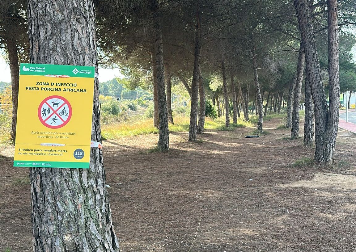 Mira la llista d'àrees verdes urbanes tancades per la pesta porcina