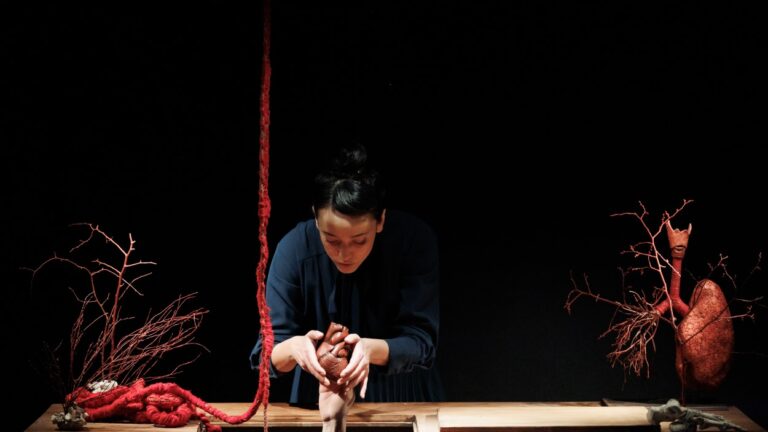 Cicle de teatre 'A tocar d'escena': 'Entrañas', amb El Patio Teatro - Imatge destacada