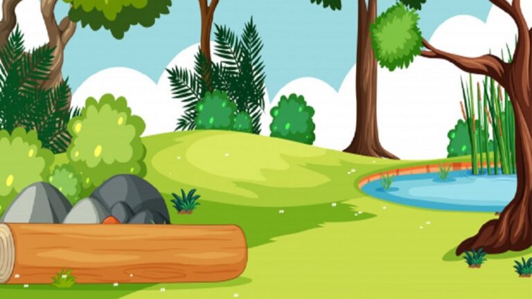 Hora del conte menuts: 'Dins el bosc' - Imatge destacada