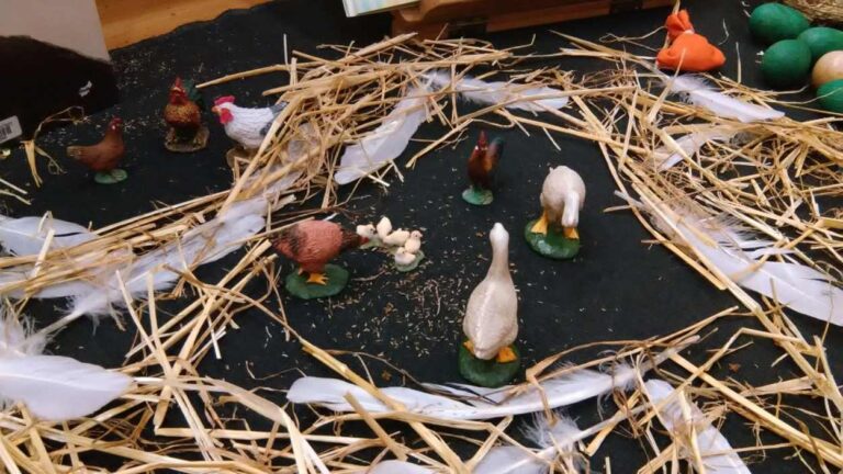 Contacontes: 'Tocats de l'ala' - Imatge destacada