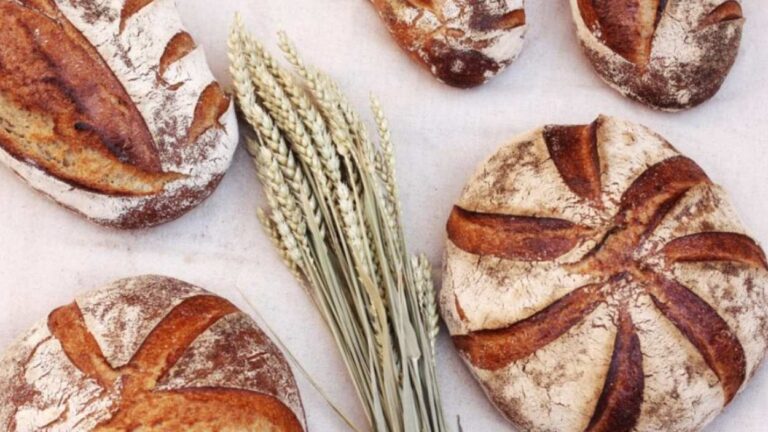 Show cooking i degustació: 'Pa de Nadal' - Imatge destacada