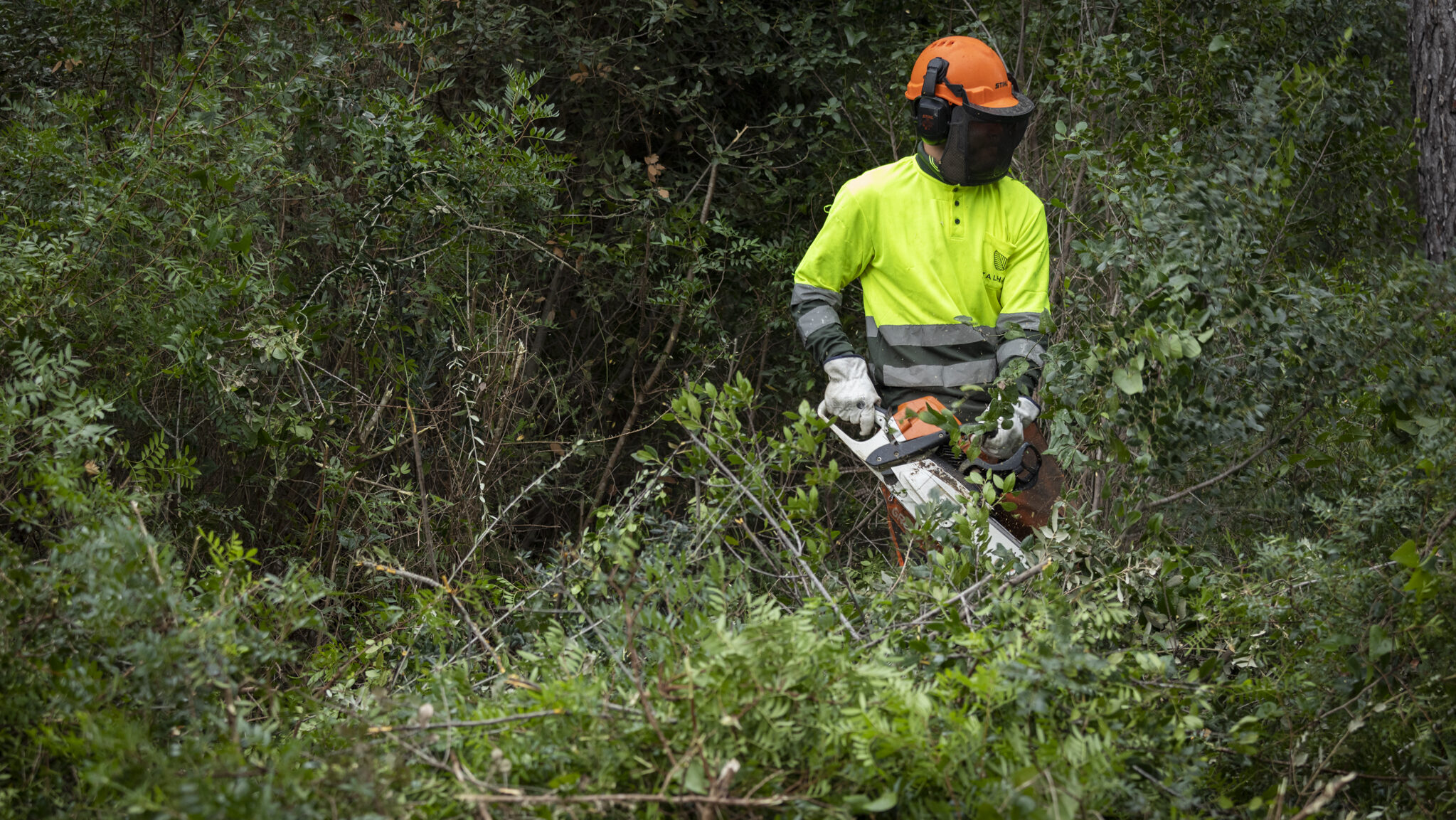 Sant Cugat rebrà gairebé 58.000 euros per reforçar la prevenció d’incendis forestals fora de Collserola