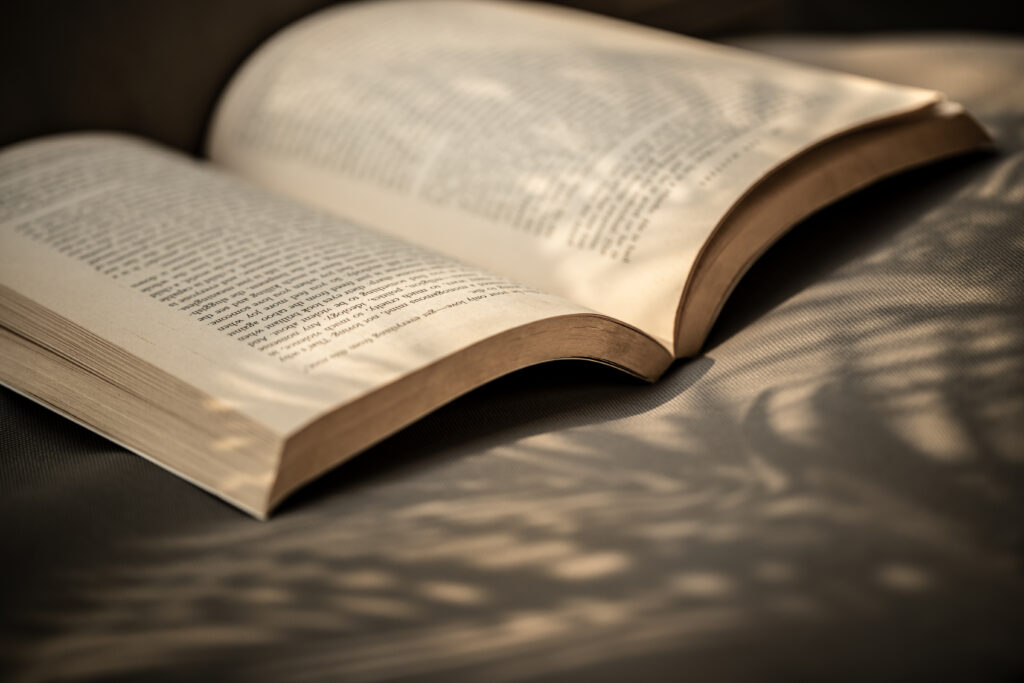 Inicis de llibre que enamorem