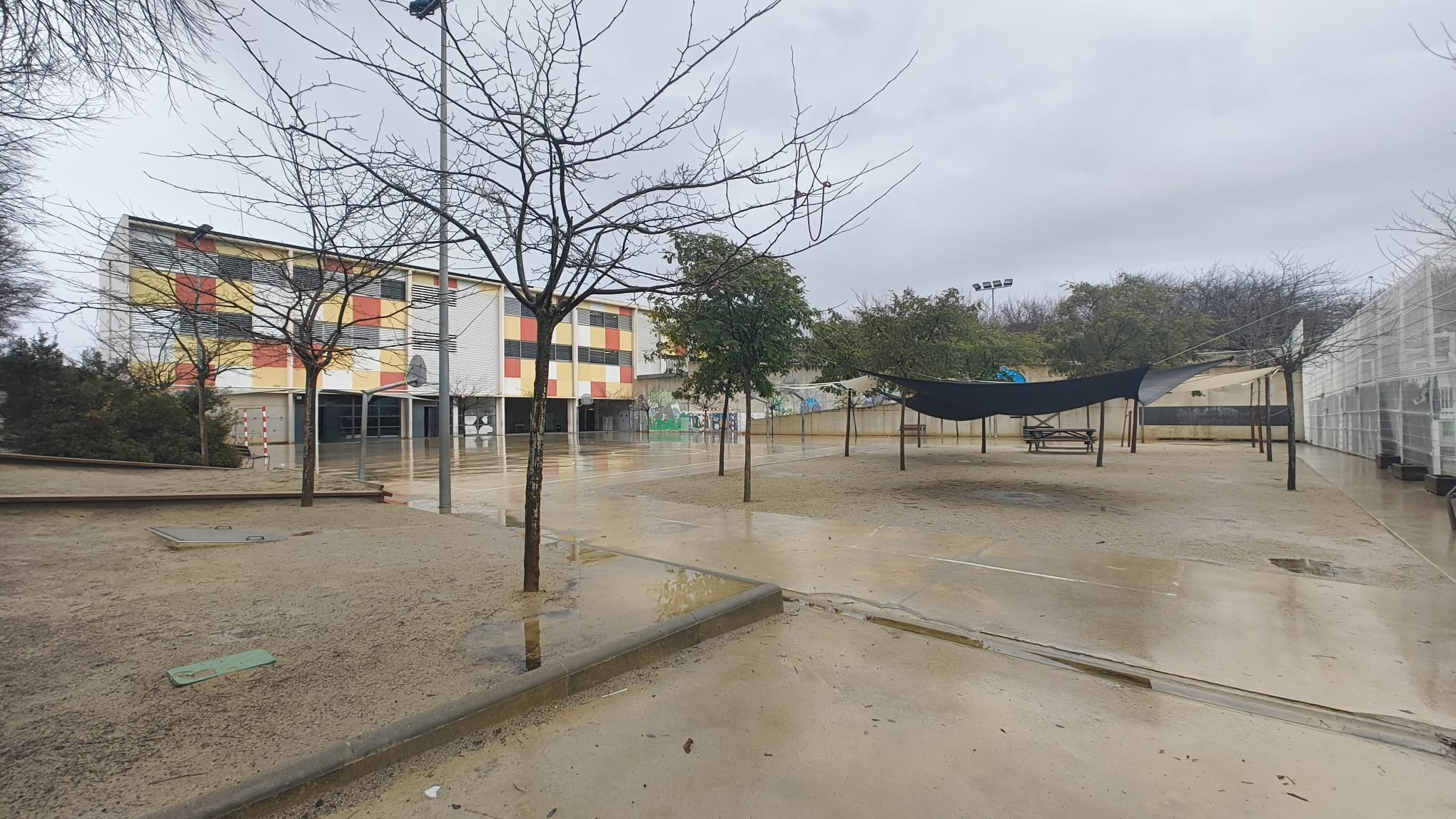 L'AFA de l'Olivera demana que es mantinguin els dos grups d'I3