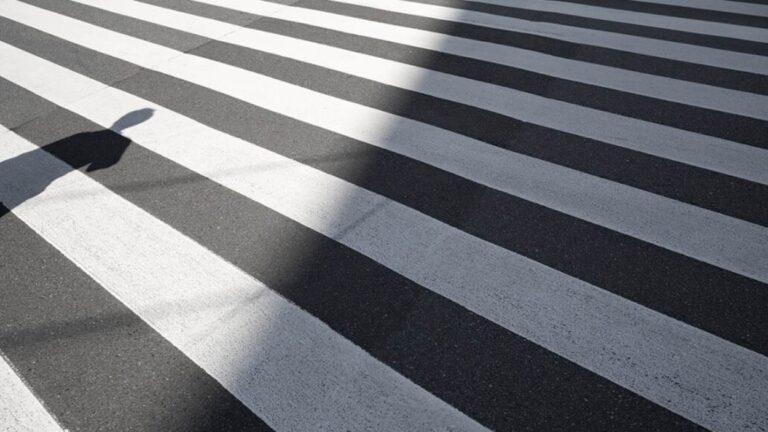 Inauguració d'exposició: 'Passos de vianants, un viatge a la diversitat', d'Alfredo Ruiz - Imatge destacada