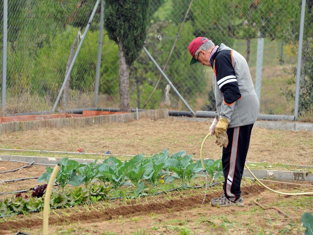Alt: L'Ajuntament reforçarà els espais verds i la implicació ciutadana