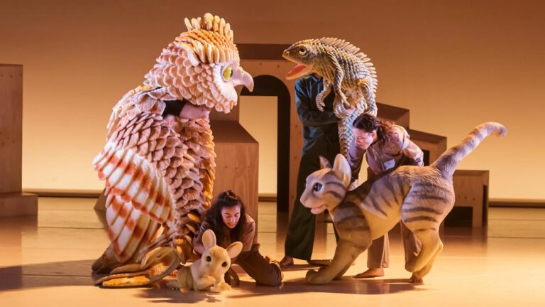 Dansa en família: 'La gata que volia canviar la història' - Imatge destacada