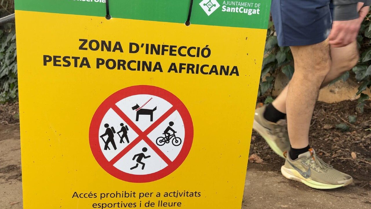 Pesta porcina: entrar a Collserola des de Sant Cugat encara està prohibit