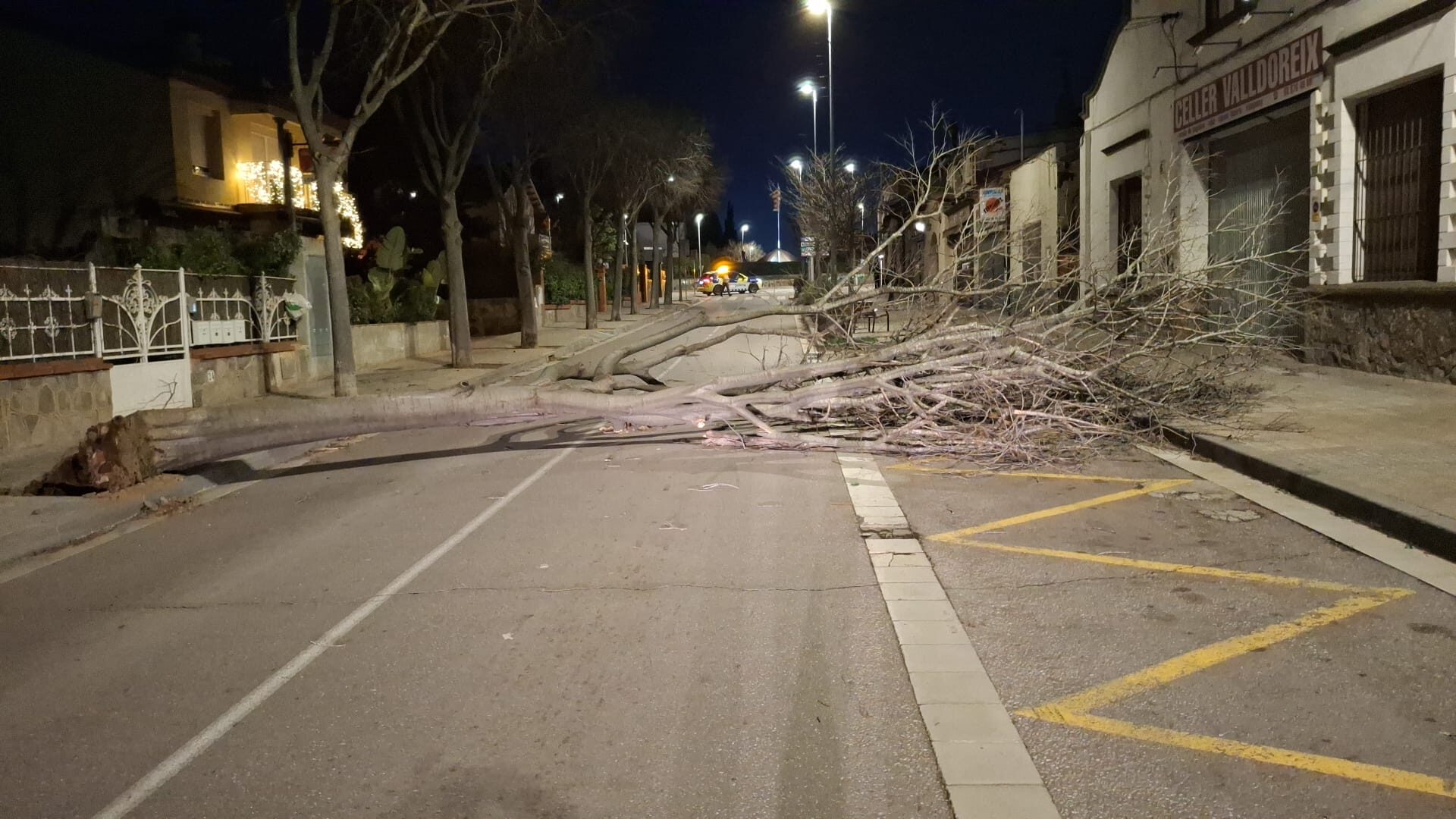 Ventada a Sant Cugat: 100 incidències i ratxes de 76 km/h