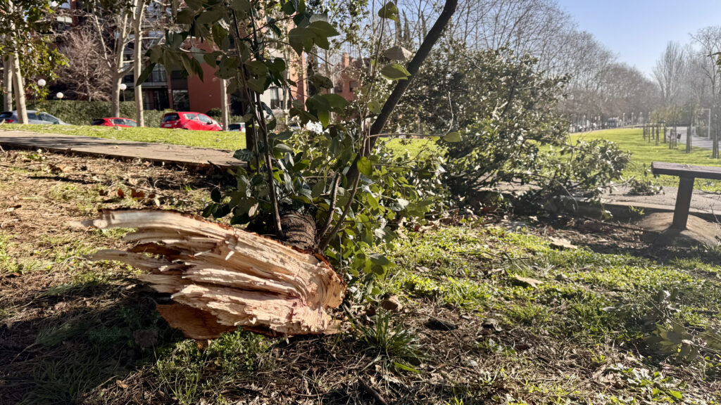 Alt: La ventada a Sant Cugat, en imatges