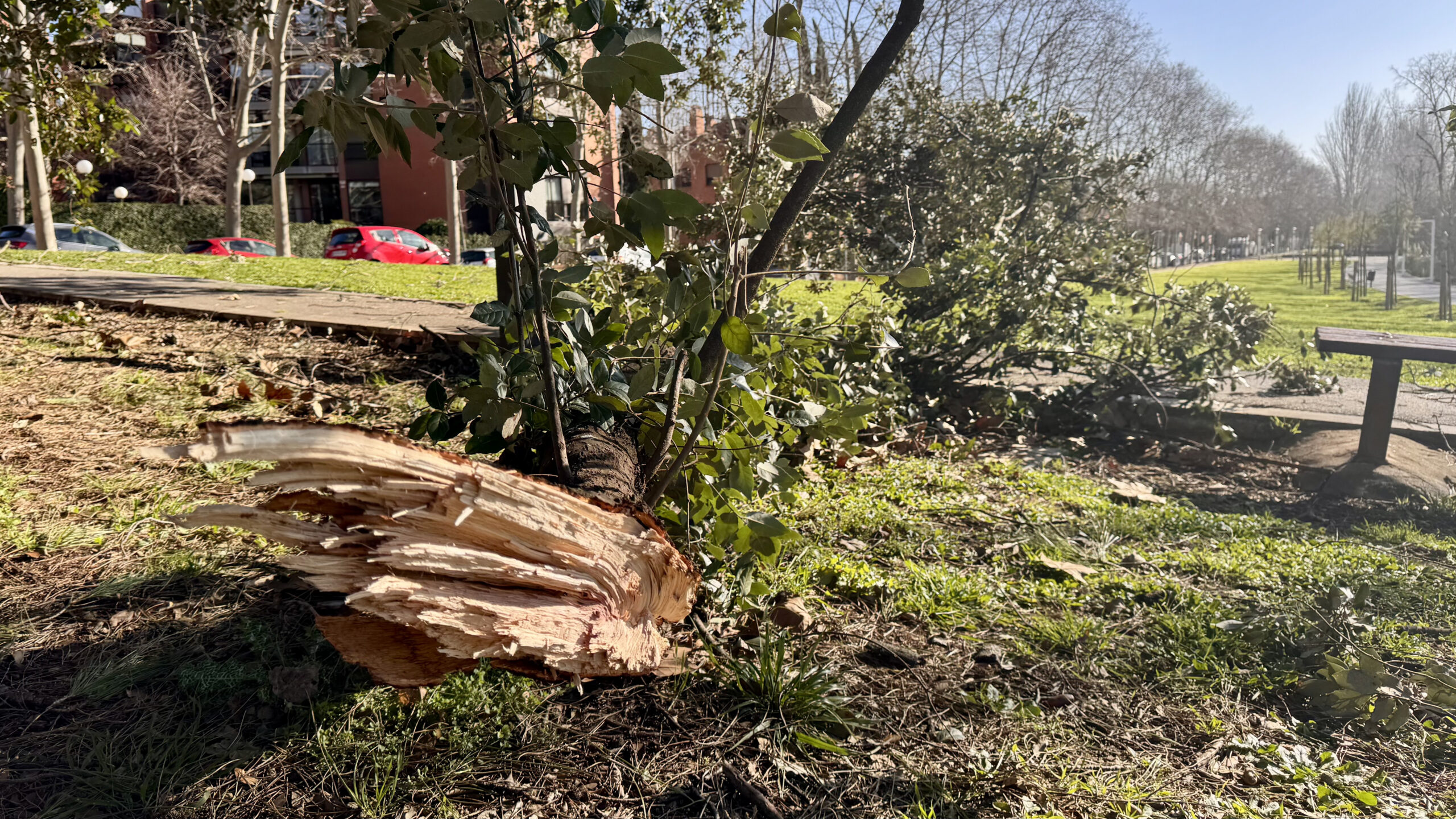 La ventada a Sant Cugat, en imatges