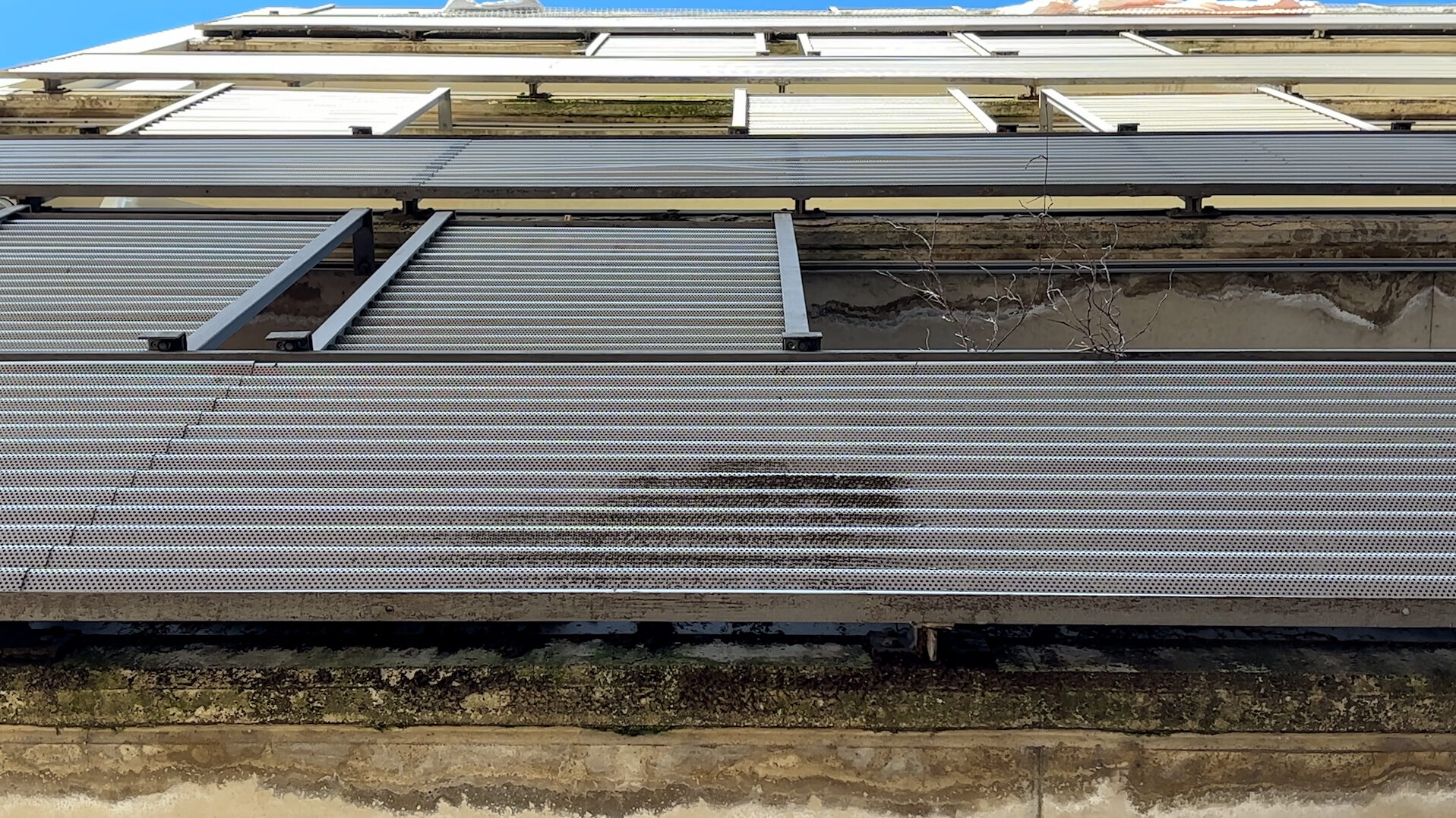 El govern reconeix que les incidències a Promusa no són aïllades i es compromet a actuar