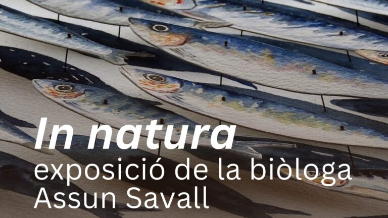 Cartell promocional de l'exposició 'In natura'
