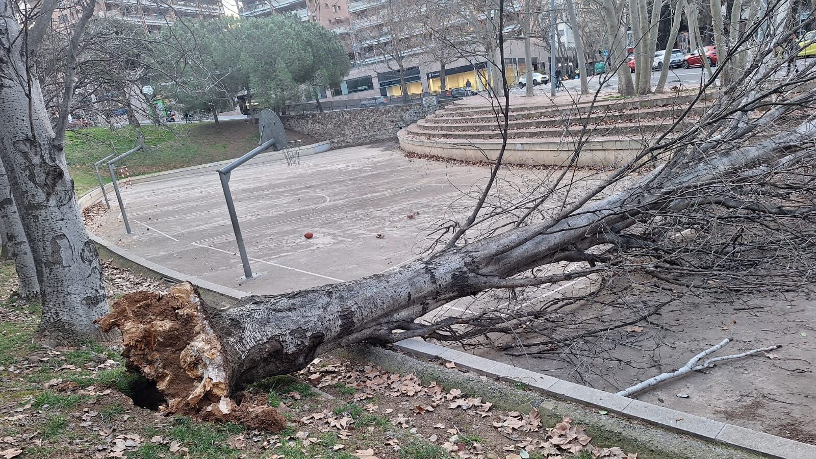 Suspesa l’activitat educativa, universitària i esportiva aquest dijous i també la sanitària no urgent pel fort vent