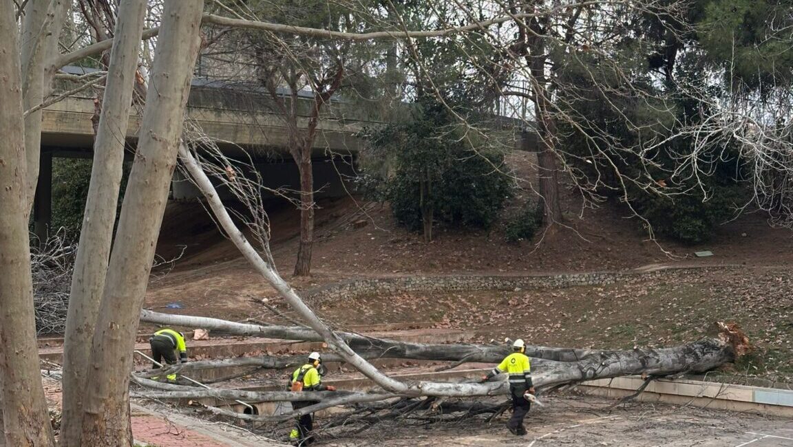 Alerta màxima per vent a Sant Cugat: Suspeses les activitats de dijous