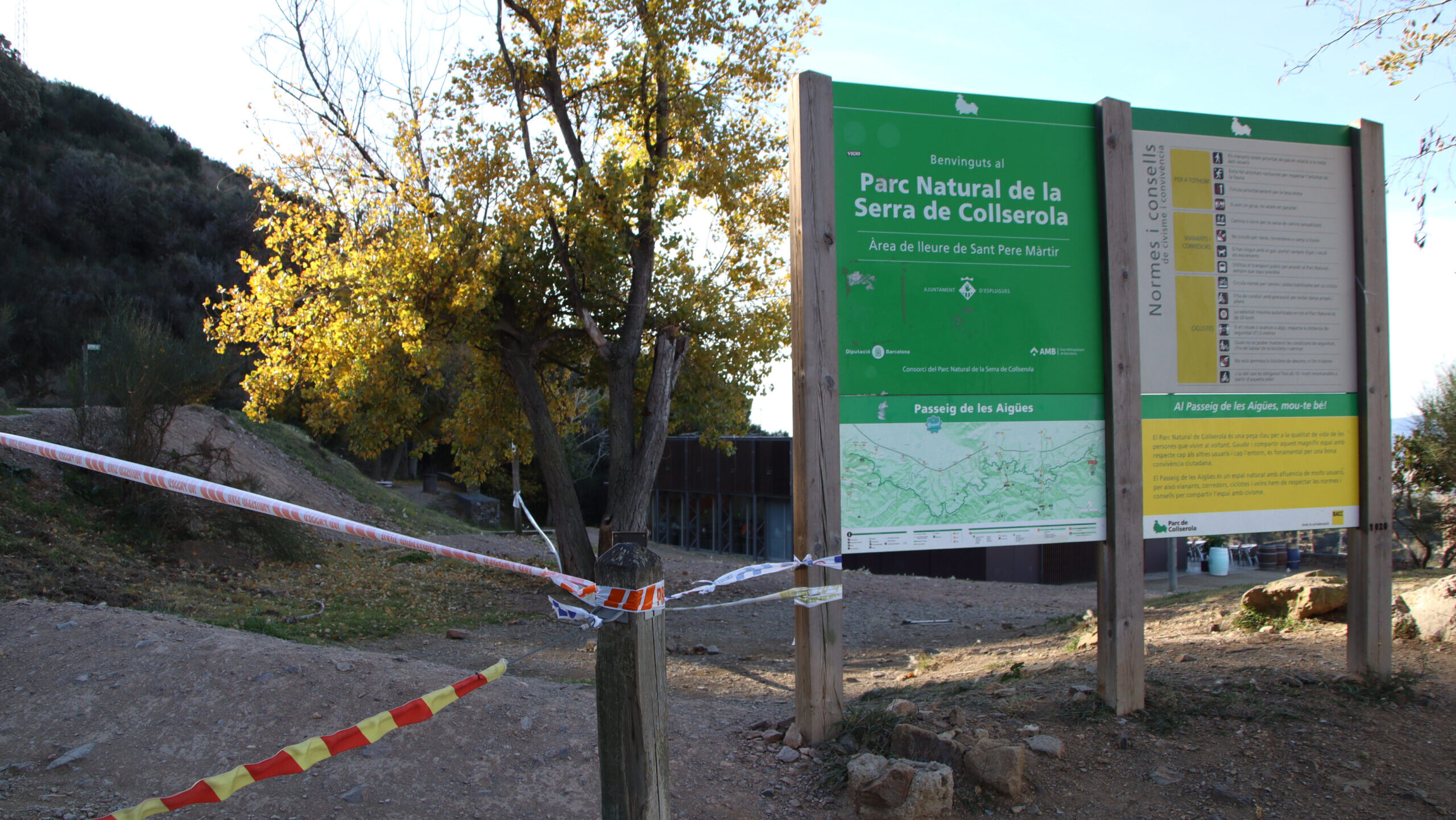 El tancament de Collserola per la pesta porcina s’allargarà fins que s'elimini 