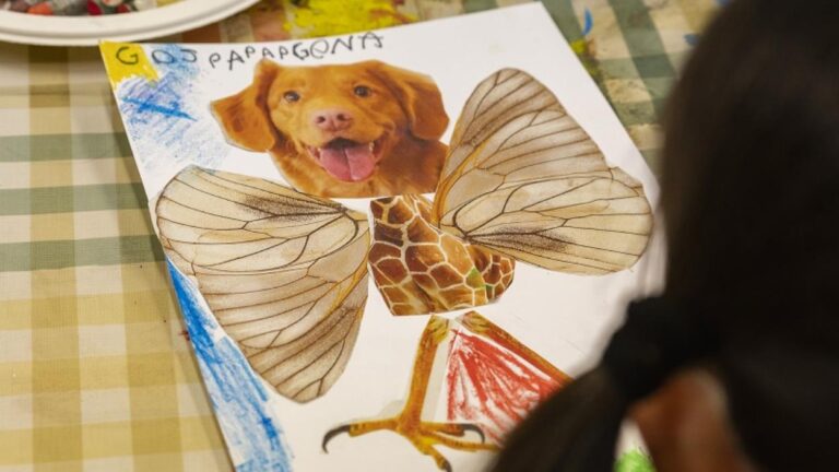 Dissabte familiar al Museu: 'Crea el teu animal fantàstic' - Imatge destacada