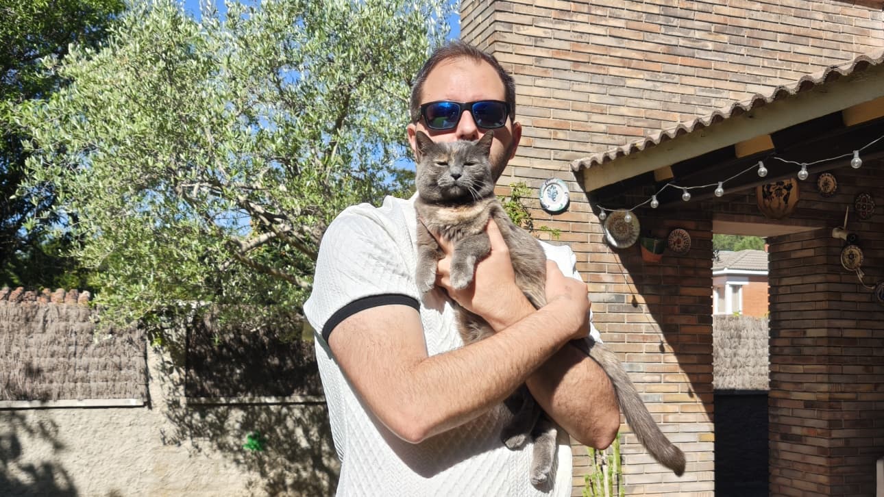 Quatre gats de Sant Cugat, a l'elit felina de Youtube