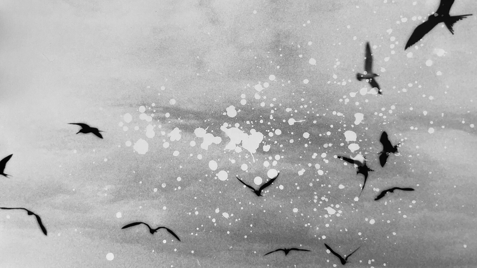 El Lumínic convertirà Sant Cugat en l’epicentre de la fotografia amb una mirada poètica de la imatge