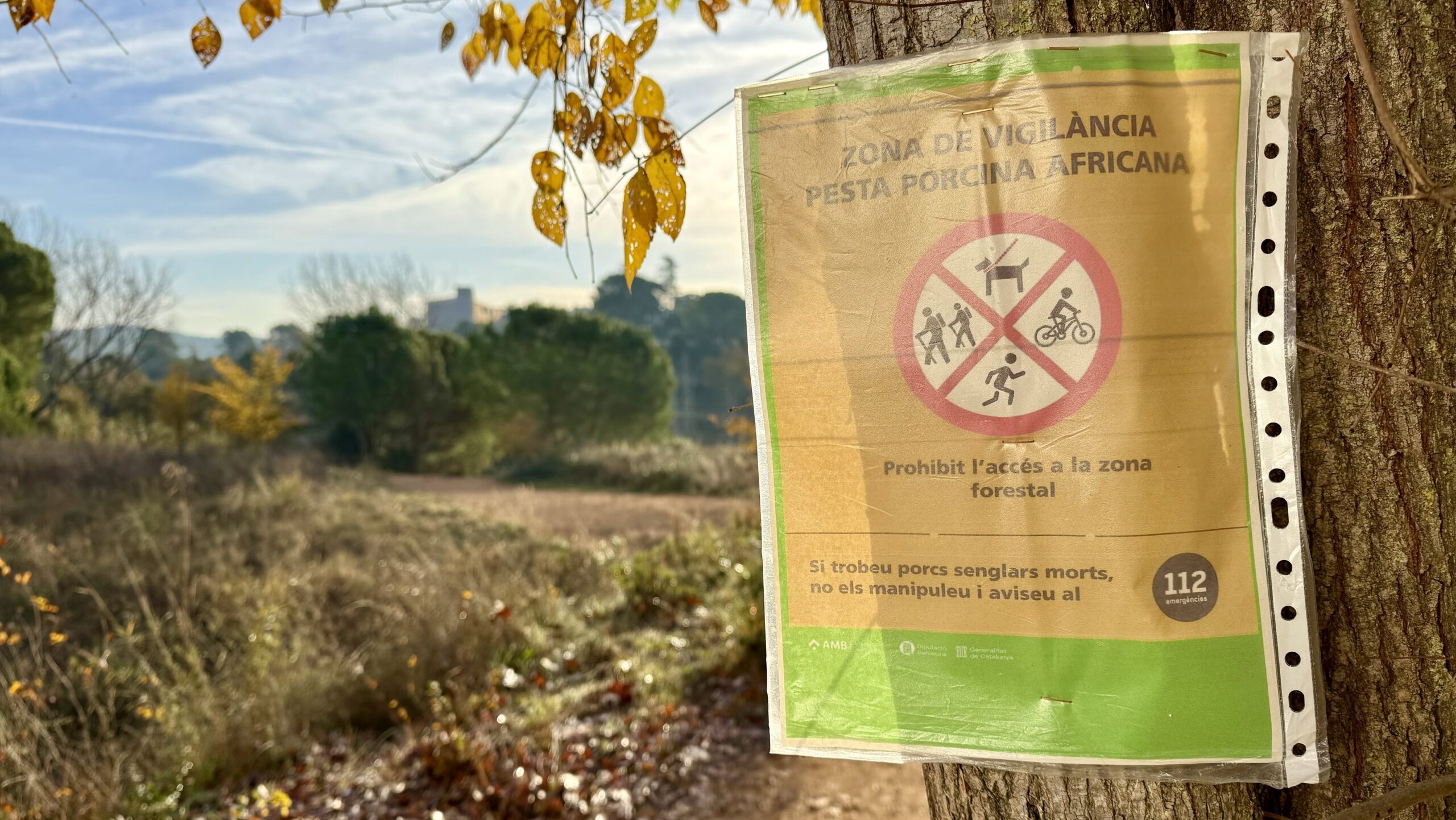 Agricultura es reunirà amb Sant Cugat per abordar la situació de la PPA sota els criteris de contenció del virus