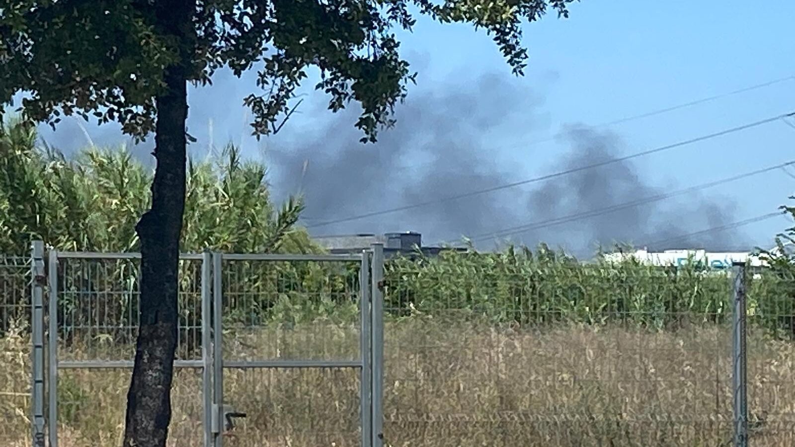 Un incendi a l'entorn de la UAB provoca una columna de fum visible des de Sant Cugat