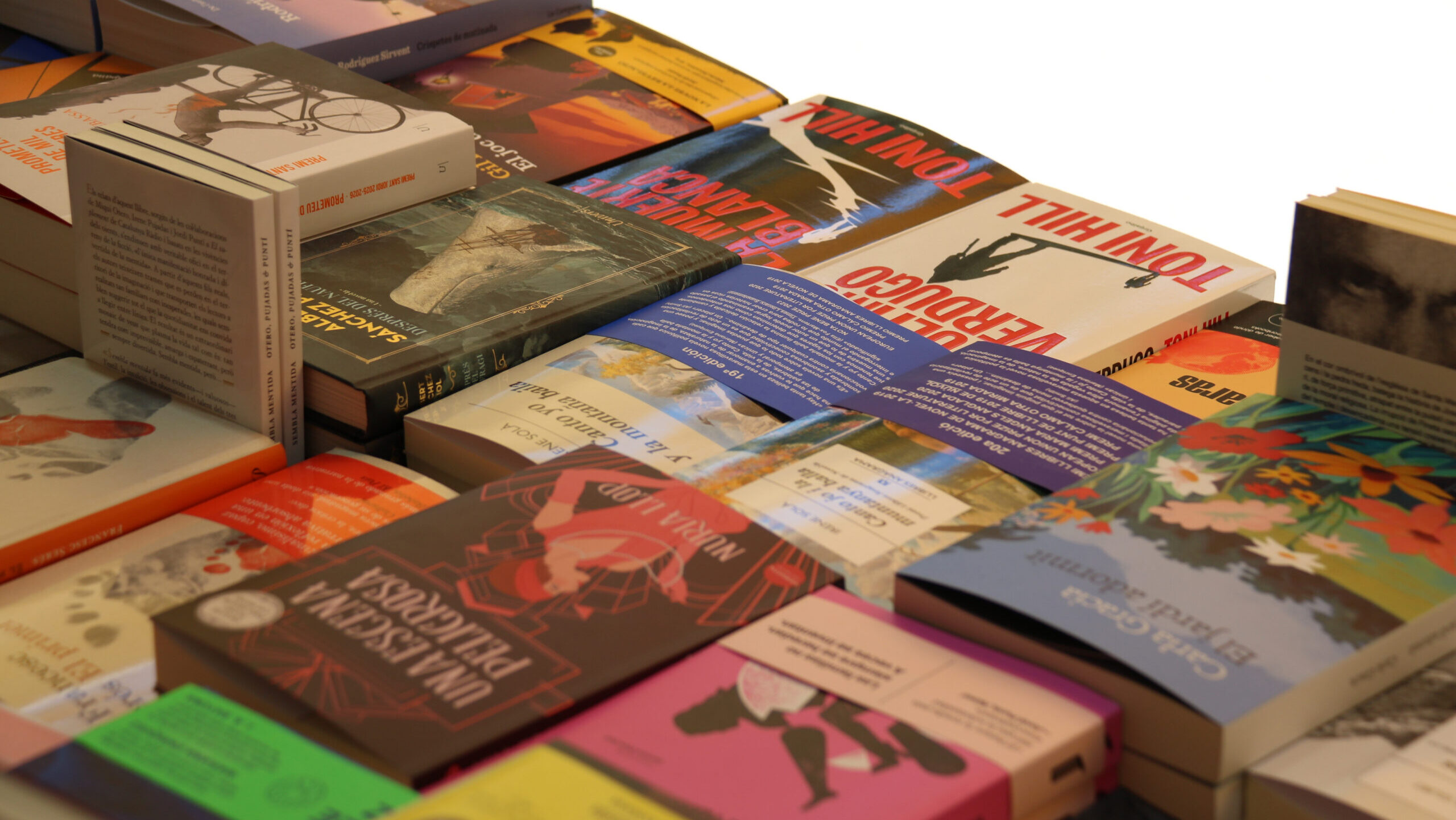 Cinc llibres per gaudir aquest estiu més enllà dels supervendes